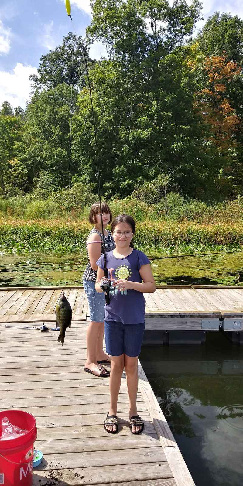 Family-Friendly Activities and Nature Programs