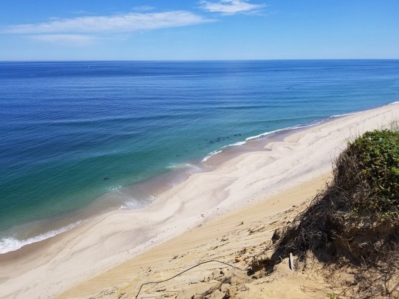 Quick Elevation Bump With A View