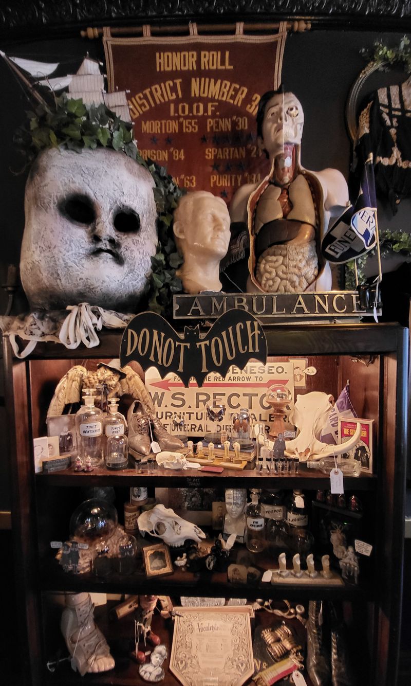 Gifts for the Delightfully Strange