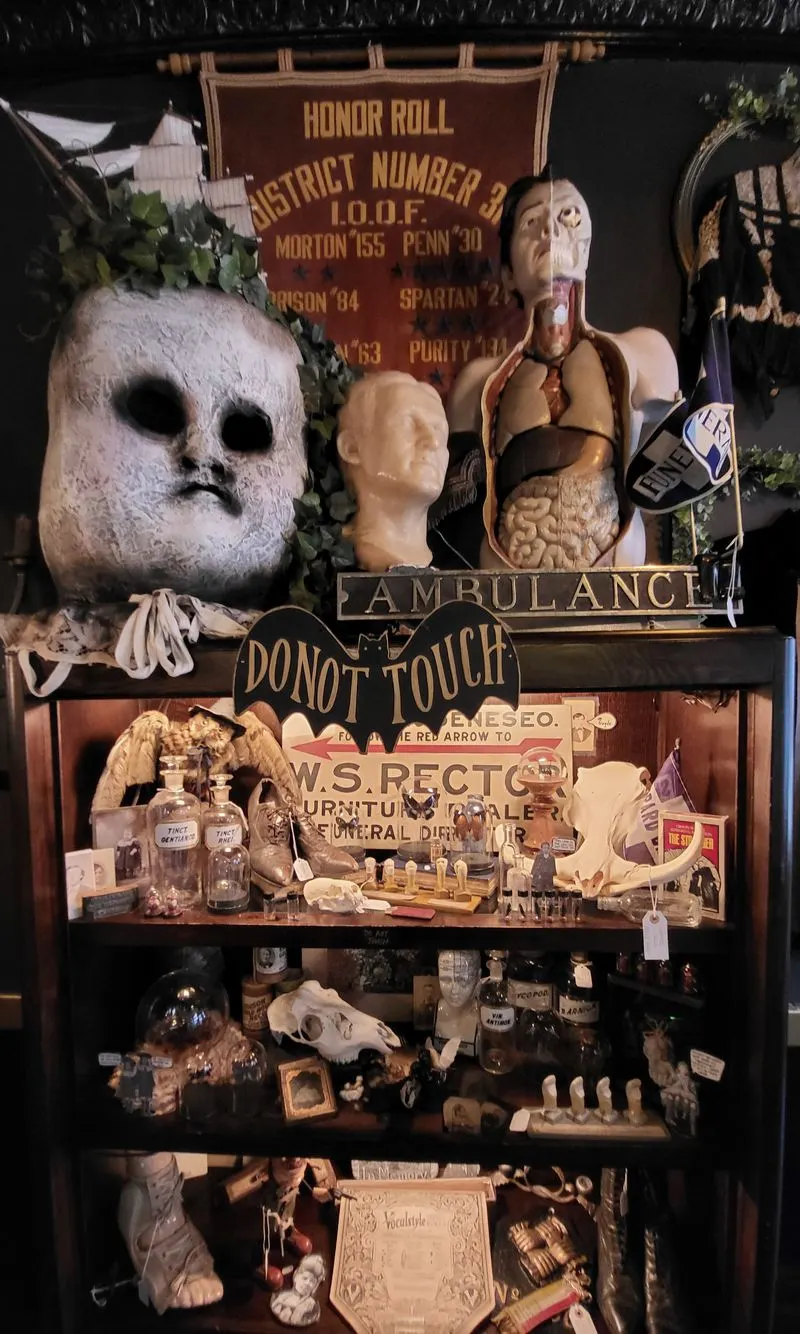 Gifts for the Delightfully Strange