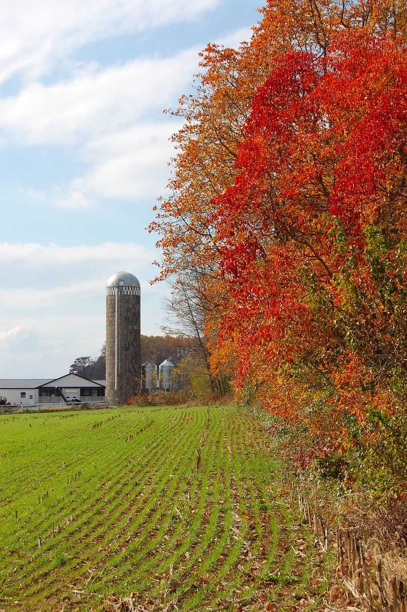 XI. Why Strasburg Appeals in a Modern World