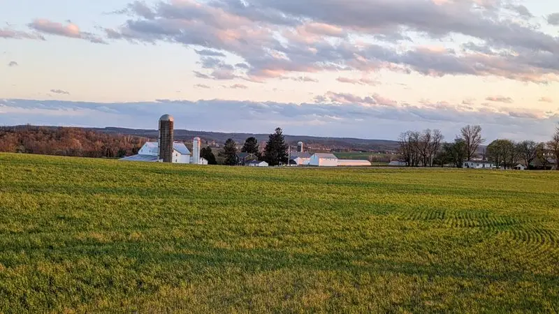 XIII. Conclusion: Preserving a Way of Life