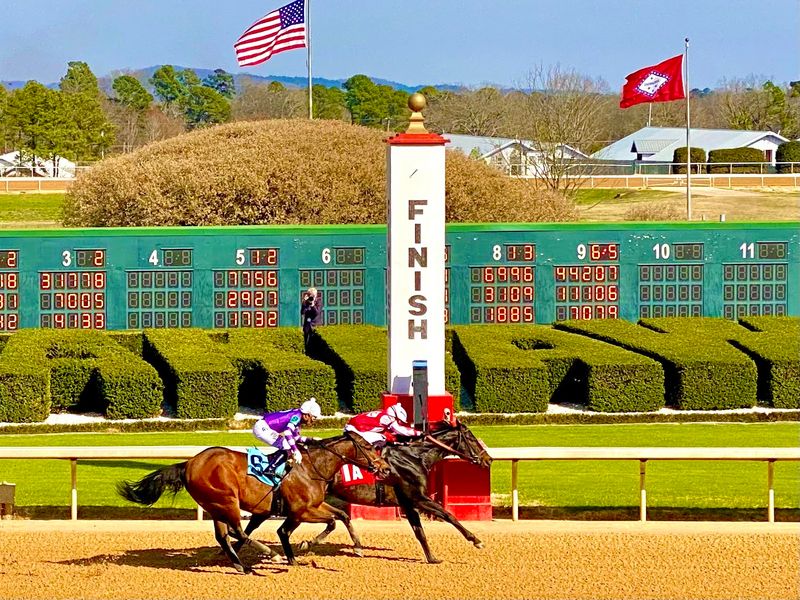 Oaklawn Park (Hot Springs, AR)