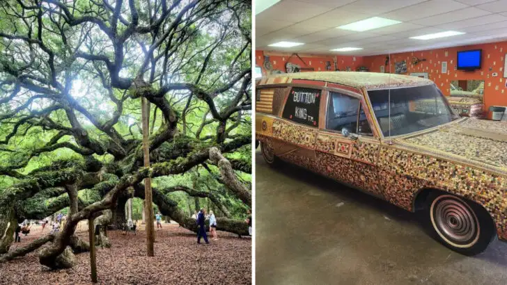 10 Fun And Unusual Roadside Finds That Feel So South Carolina