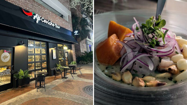 10 Peruvian Restaurants In Florida Where The Ceviche Alone Is Worth The Trip