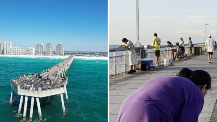 10 fishing piers in Florida where families spend entire mornings without spending a dollar