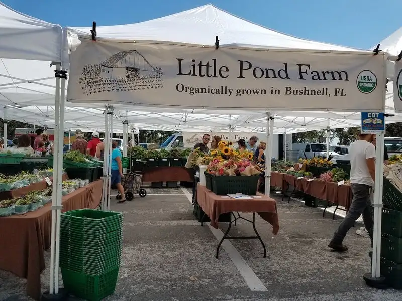St. Petersburg Saturday Morning Market
