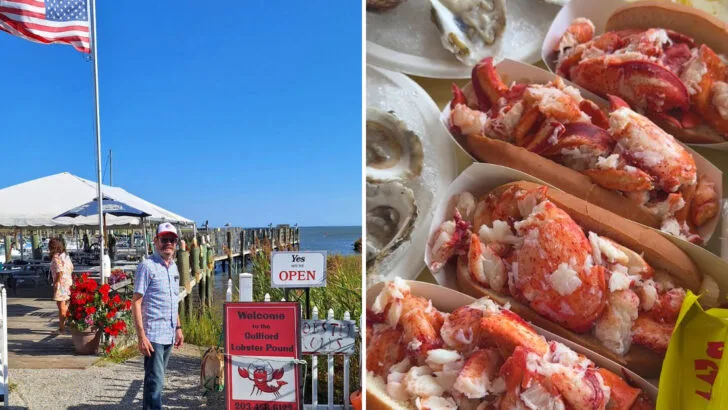11 Connecticut Spots Serving Proper Lobster Rolls With No Filler and No Apologies