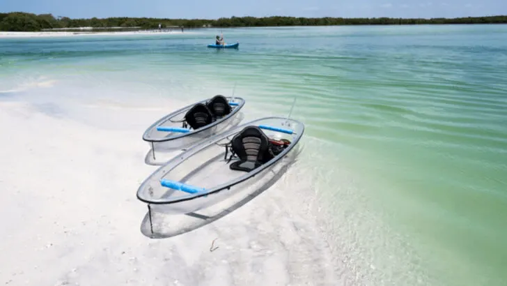 11 Florida Kayak Trails Where You&rsquo;re More Likely to See Dolphins Than Other Paddlers