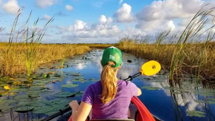 11 Florida rivers calm enough for families who&rsquo;ve never paddled before
