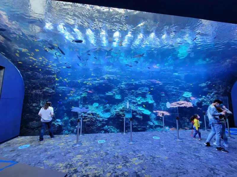 Georgia Aquarium