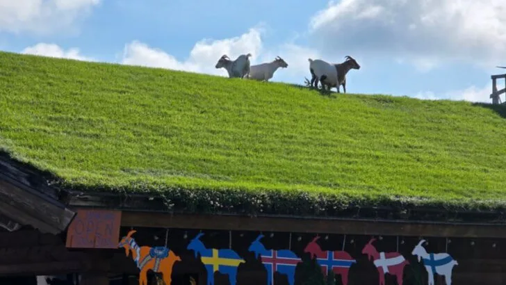 11 Playful Roadside Stops That Make Wisconsin Road Trips Better