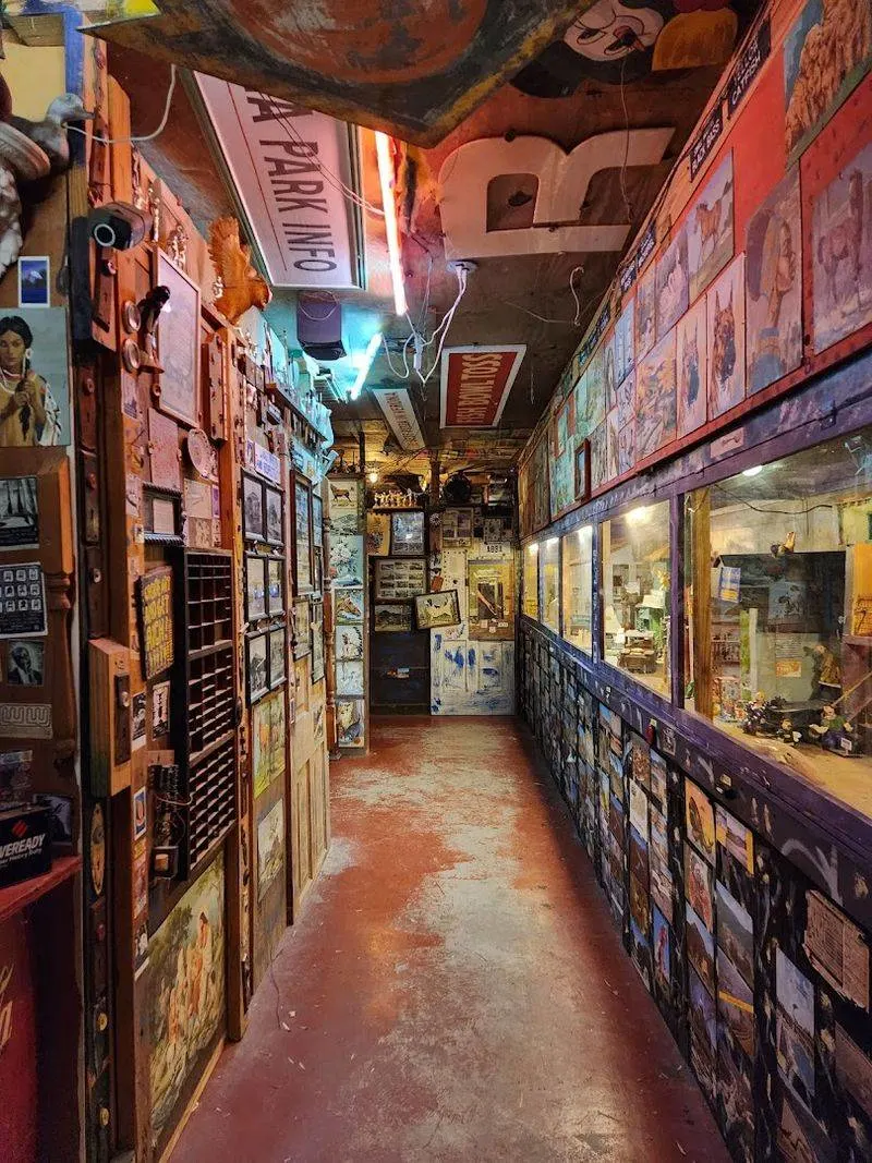 Abita Mystery House &ndash; Abita Springs