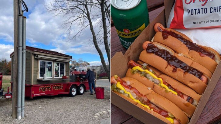 11 hot dog stands known for snap, steam, and no-nonsense toppings across Massachusetts