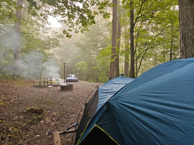 Seneca Shadows Campground