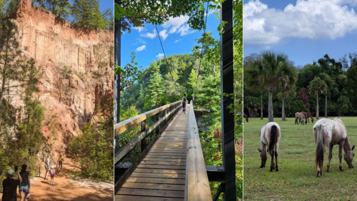 12 Day Trips Across Georgia To Make 2026 Your Most Memorable Year Yet