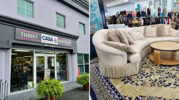 12 Florida thrift stores made for people who love the thrill of a great find
