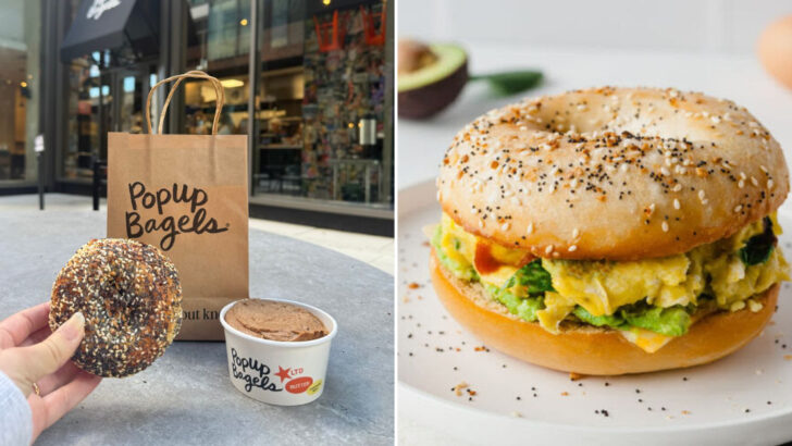 12 Massachusetts bagel shops that make mornings feel purposeful