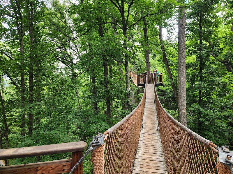 Anakeesta &ndash; A Magical Mountain Adventure