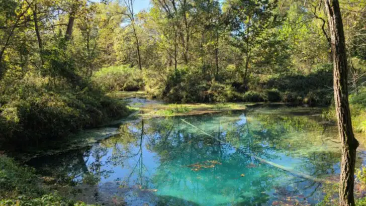 13 Campsites in Missouri That Make It Easy to Unplug for a Few Days