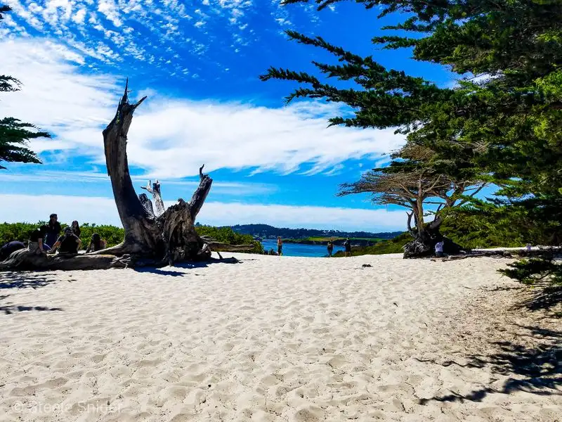 Carmel Beach &mdash; Carmel‑by‑the‑Sea, CA
