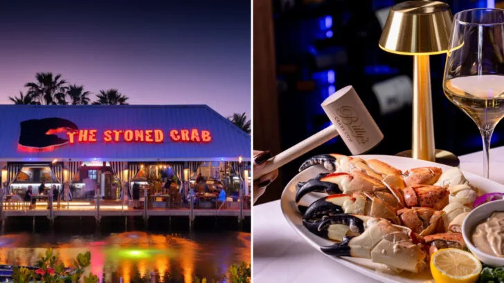 13 Florida Seafood Spots Where Stone Crab Season Is in Full Swing Right Now