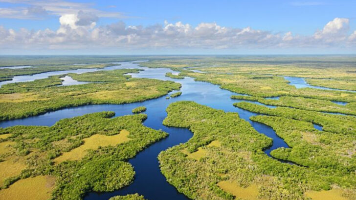 13 Incredible Views In Florida You Don&rsquo;t Have To Hike All Day To See