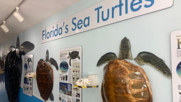 14 Florida Spots To Add To Your 2026 List If You Think You&rsquo;ve Seen Everything