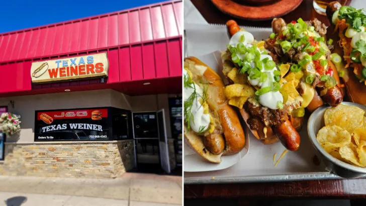 14 New Jersey hot dog spots that consistently get it right