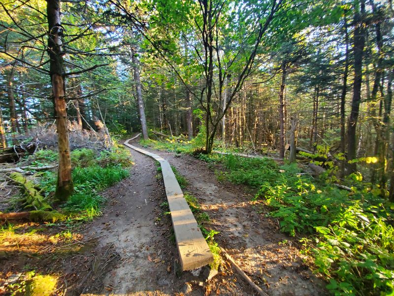 Great Smoky Mountains National Park – Cherokee & Bryson City