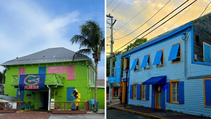 14 Old-School Florida Restaurants Known Across The State For Their Blackened Mahi Sandwich