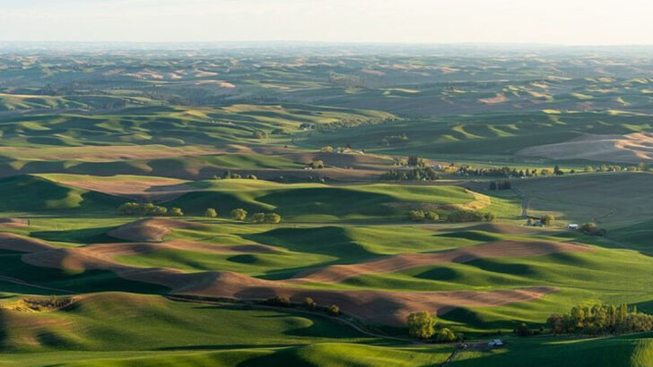 13 Stunning Natural Wonders That Prove Washington Is Full Of Surprises