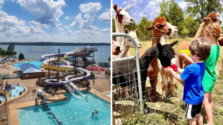 14 Tennessee experiences your kids will still talk about when they&rsquo;re adults