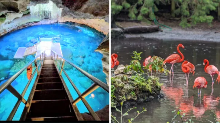 15 Spots in Florida That Wear Kids Out Faster Than Any Theme Park