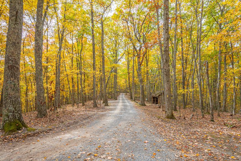 Why Seneca State Forest beats crowded alternatives