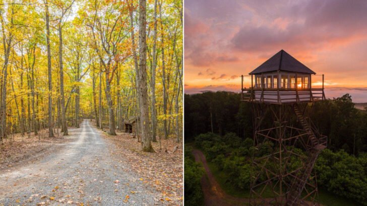 A 12,000‑acre West Virginia forest has empty trails while hikers crowd the Appalachian Trail
