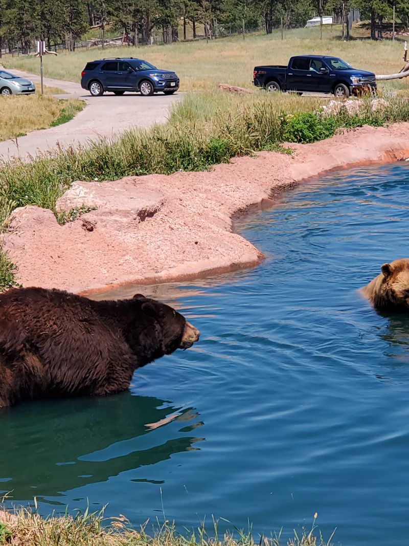 Why this drive-through feels different
