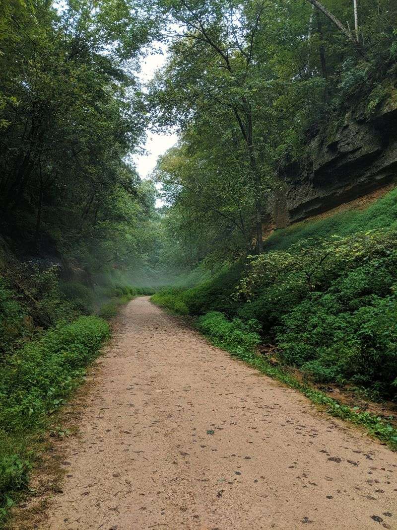 Elroy-Sparta State Trail: The Big Picture