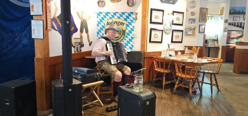 Live Accordion Music That Sets the Mood