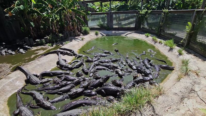 The Role of Conservation