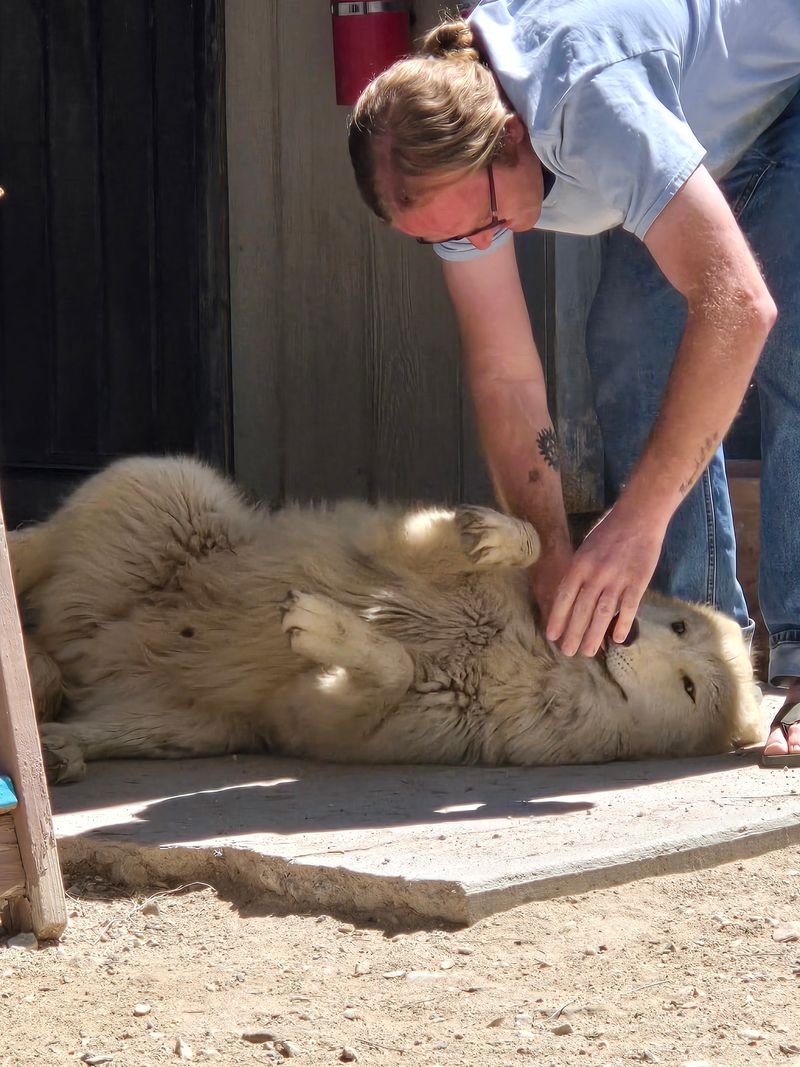 The Sanctuary's Mission