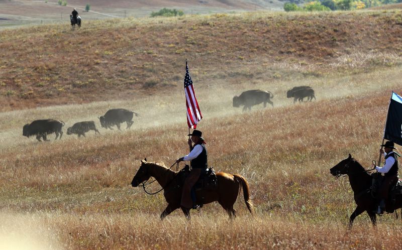 Reflecting on the Experience