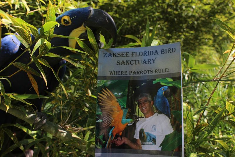 Educational Outreach Programs