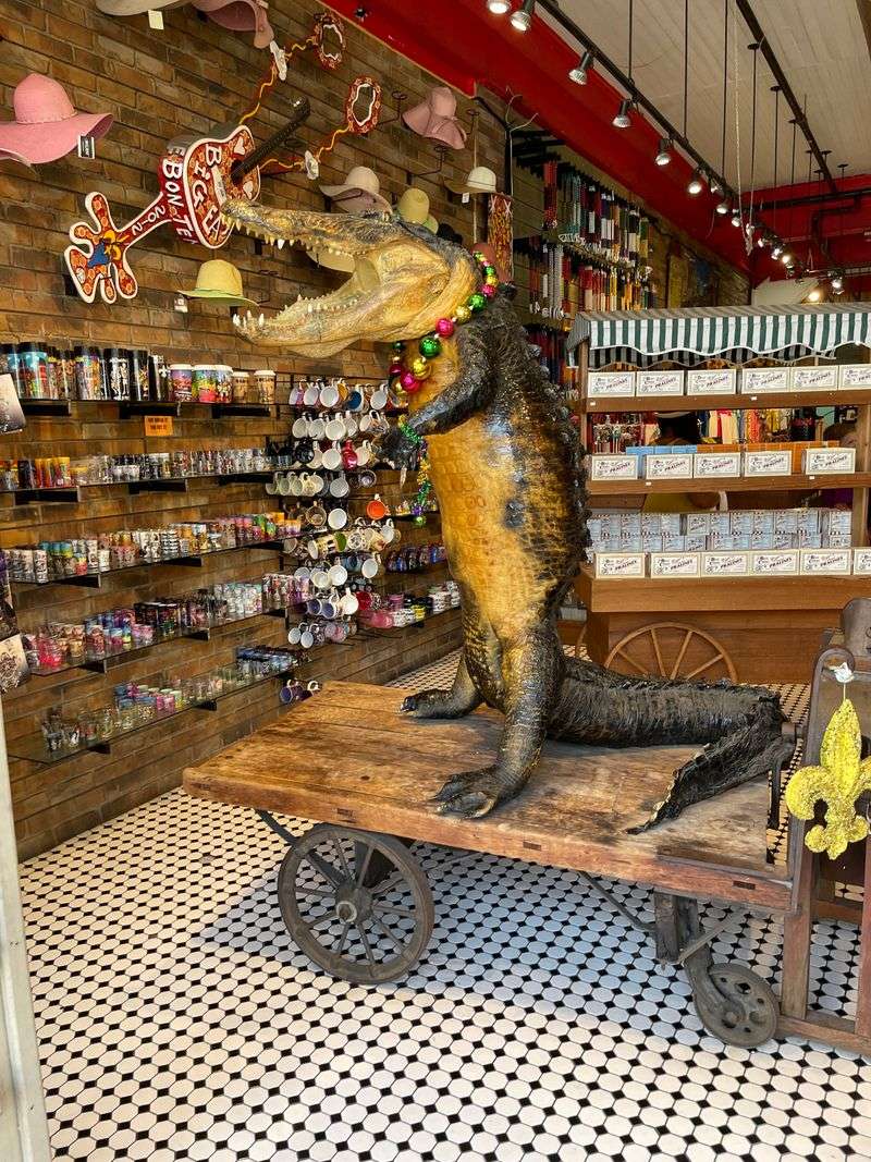 The Store's Timeless Charm