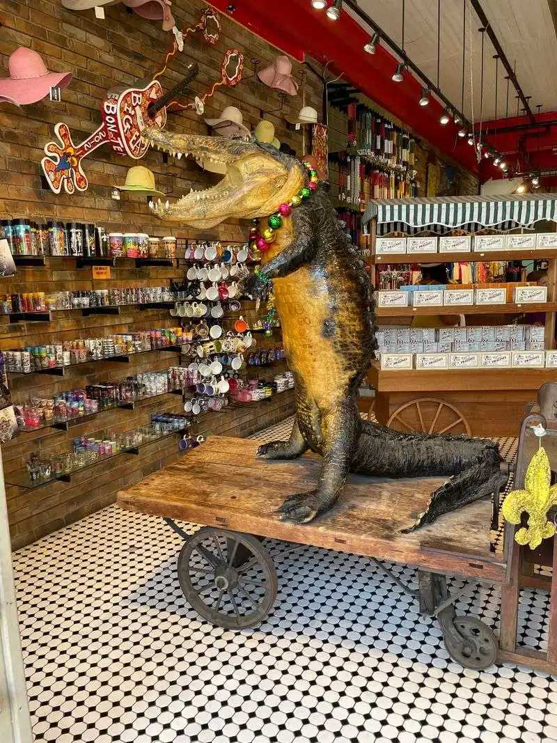 The Store's Timeless Charm