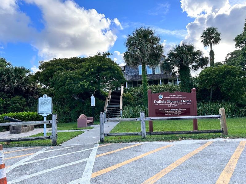 Picnic Spots With Tropical Scenery