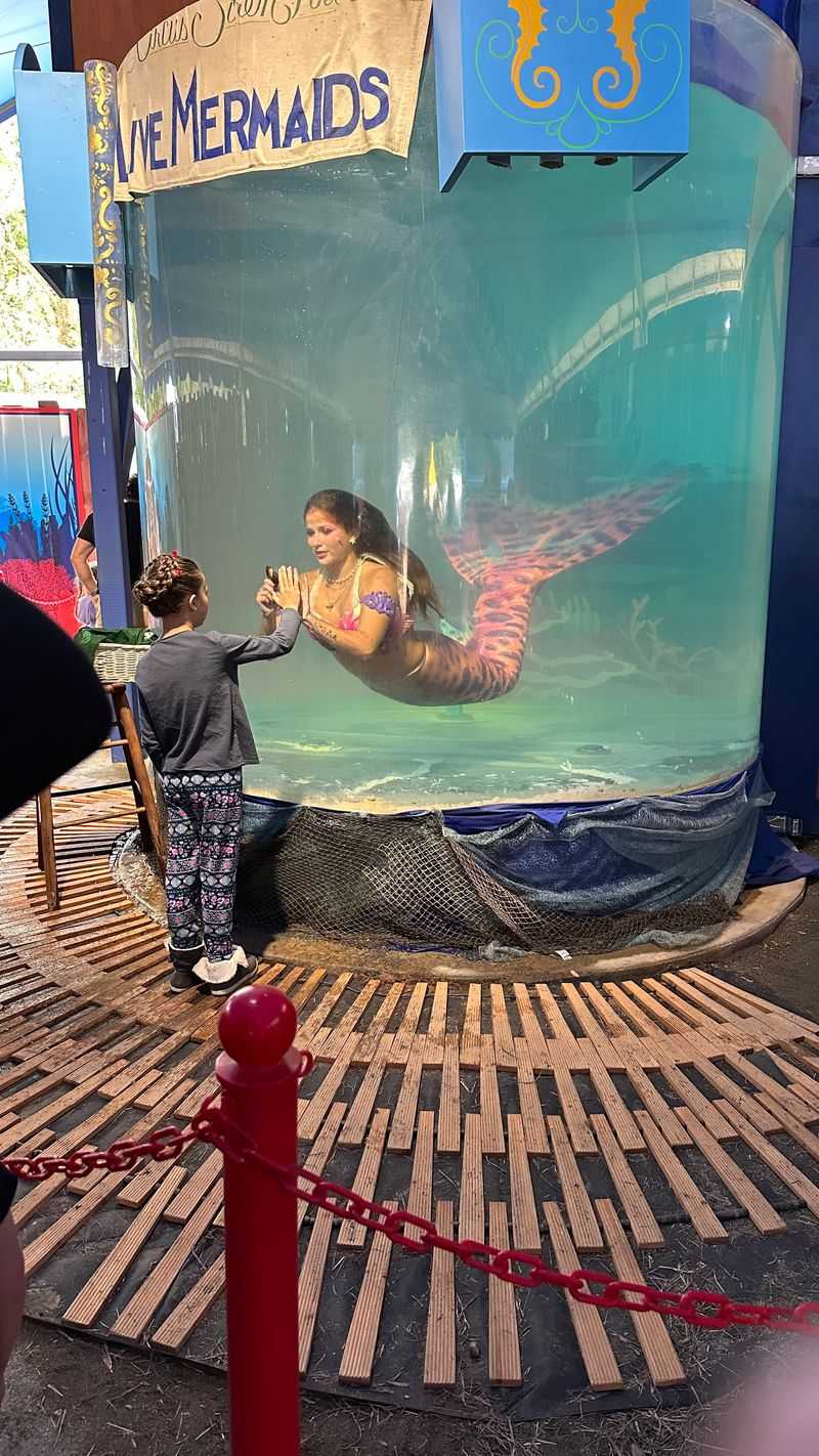 Captivating Live Performances