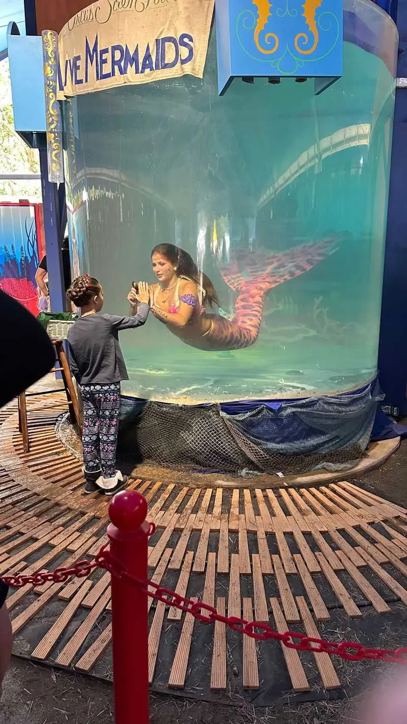 Captivating Live Performances