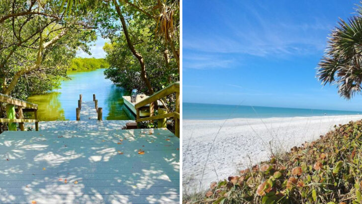 A Ferry Ride Leads to This Quiet Florida State Park With Shell-Strewn Beaches