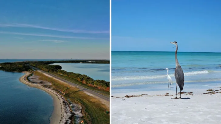 A Florida Coastal Park Where Old Forts, Open Water, and Long Trails All Meet